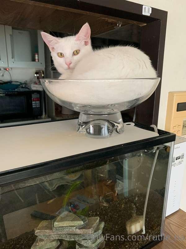 ゆいのお気に入りの場所らしいです。
と、私ー