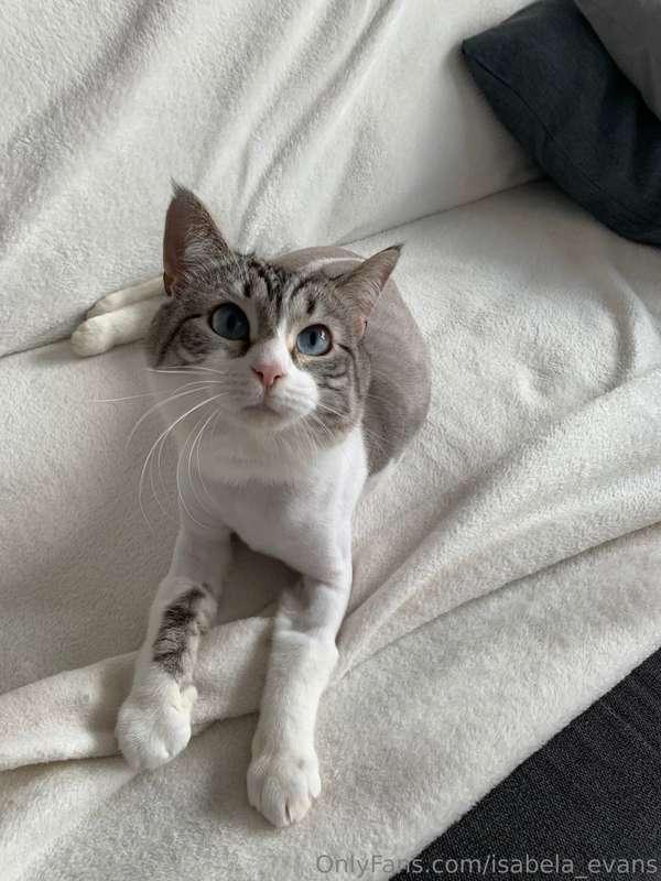 isabela_evans image #1