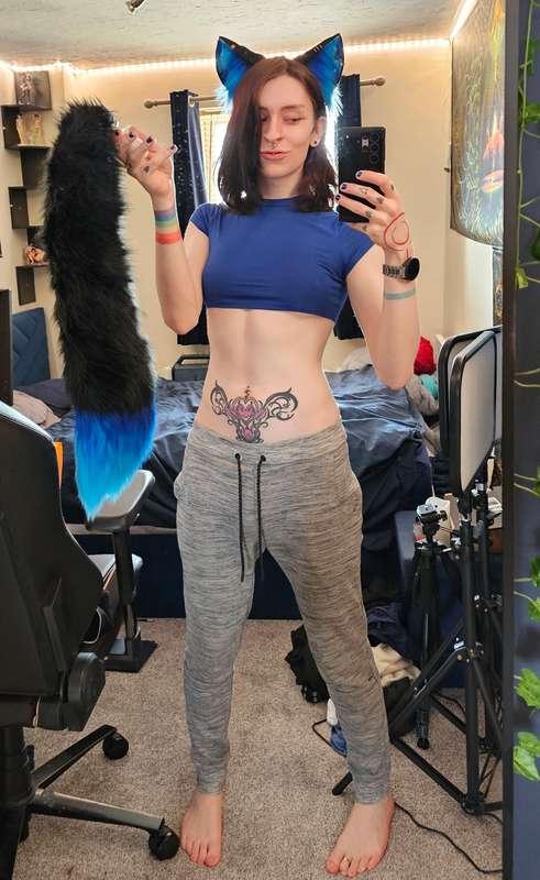 Anyone interest in a fox video? 🦊I've been meaning to make a..