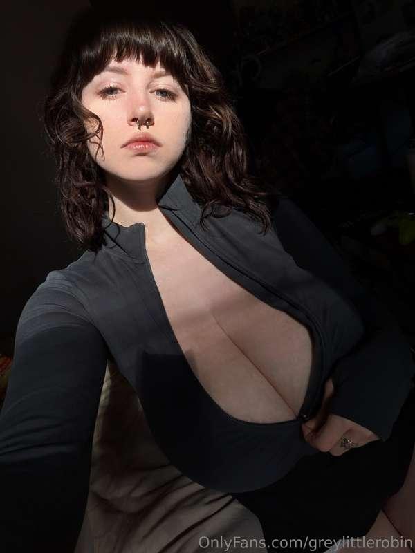 greylittlerobin image #2