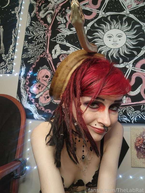 thelabrat image #3