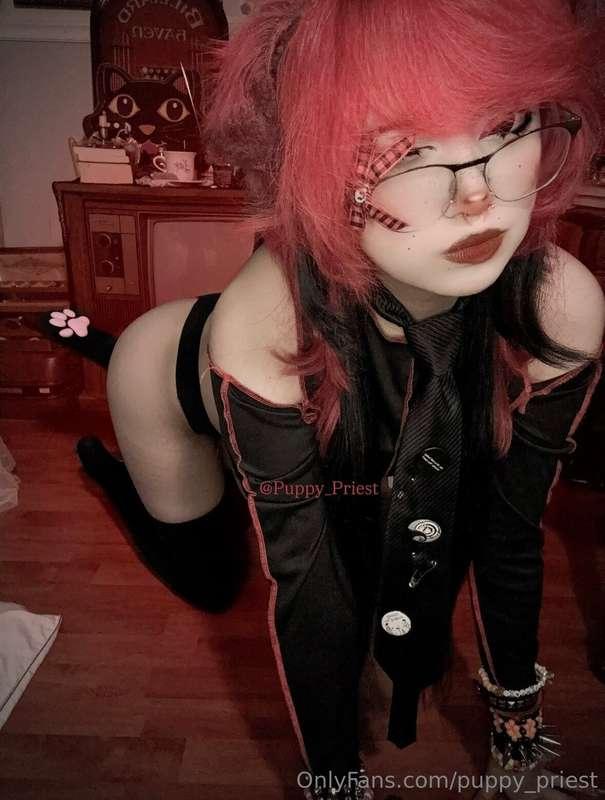 puppy_priest image #5
