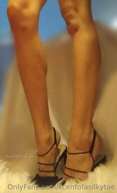 scentofasilkytoe image #0