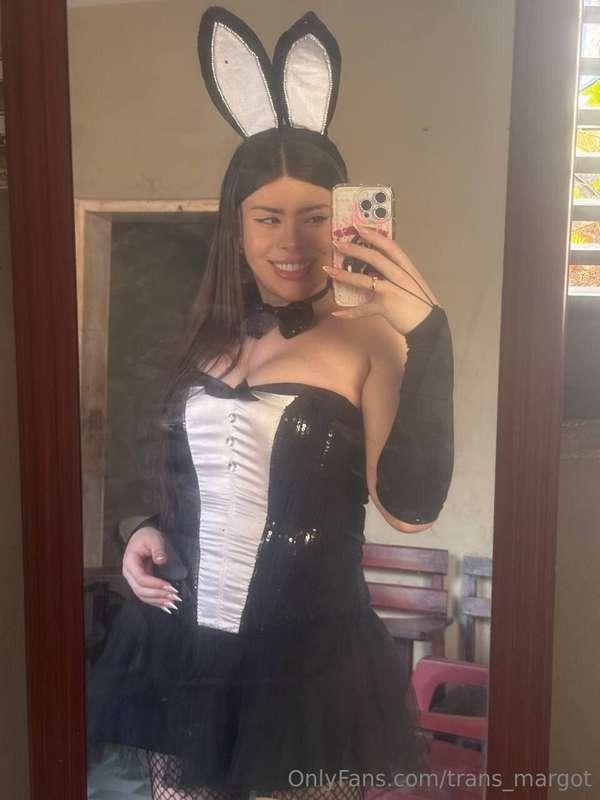 trans_margot image #3