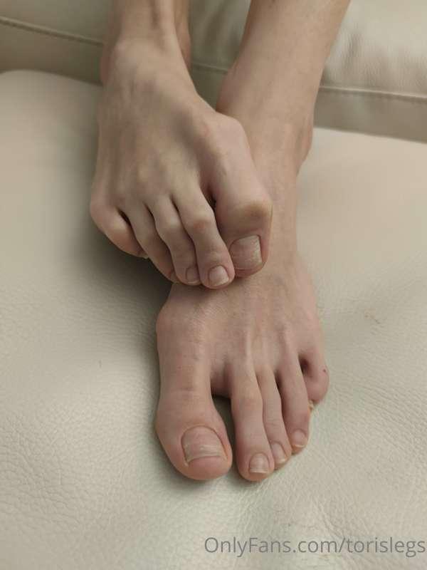 torislegs image #8