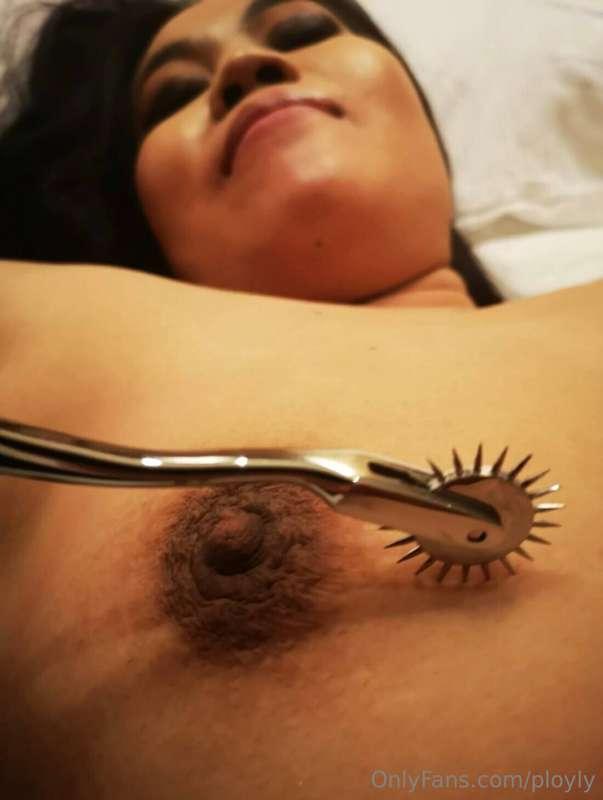 ployly image #2