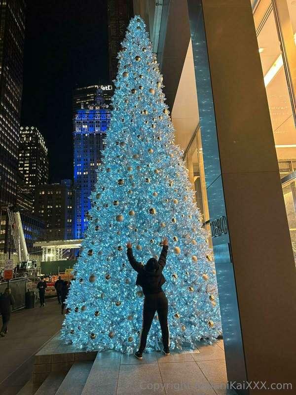 🎄 Which tree you guys like the best ❤️🎄
A
B
Or C
