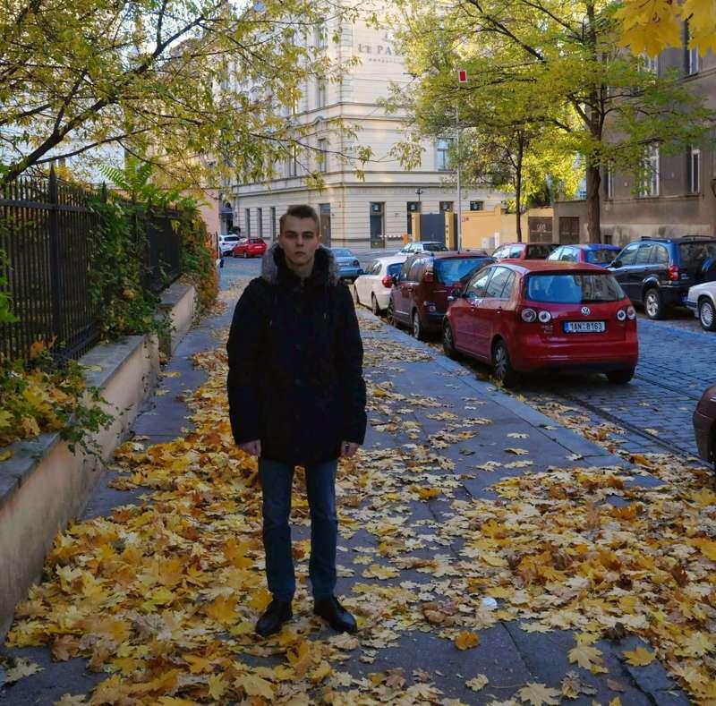🍁🍂
