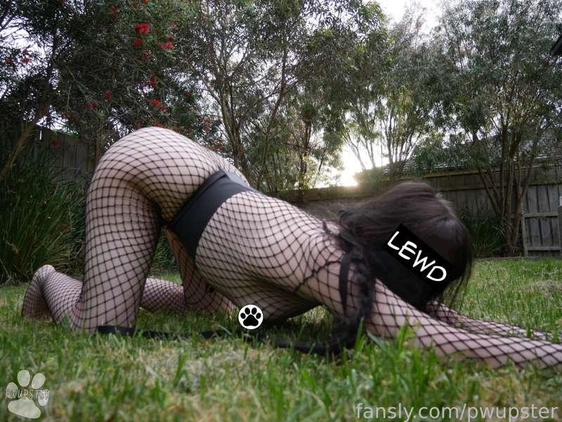 pwupster image #16