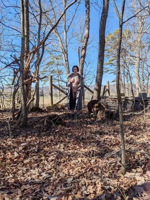Witch of the Woods