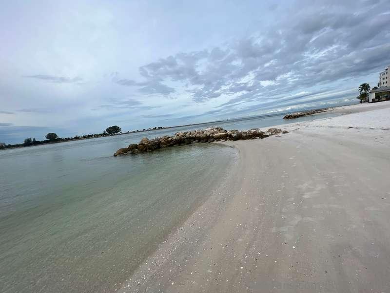 flbeachbuns image #0