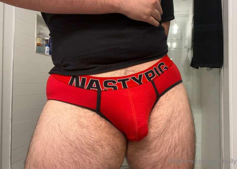 Obsessed with these NastyPig briefs. Tip me so I can get the..