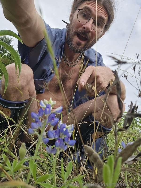Wandering through the field behind camp, and I found a blueb..