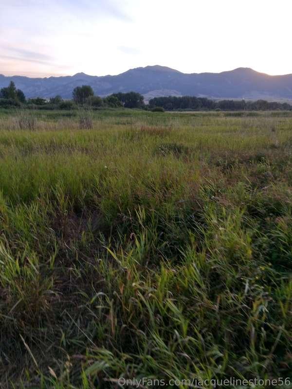 jacquelinestone56 image #0