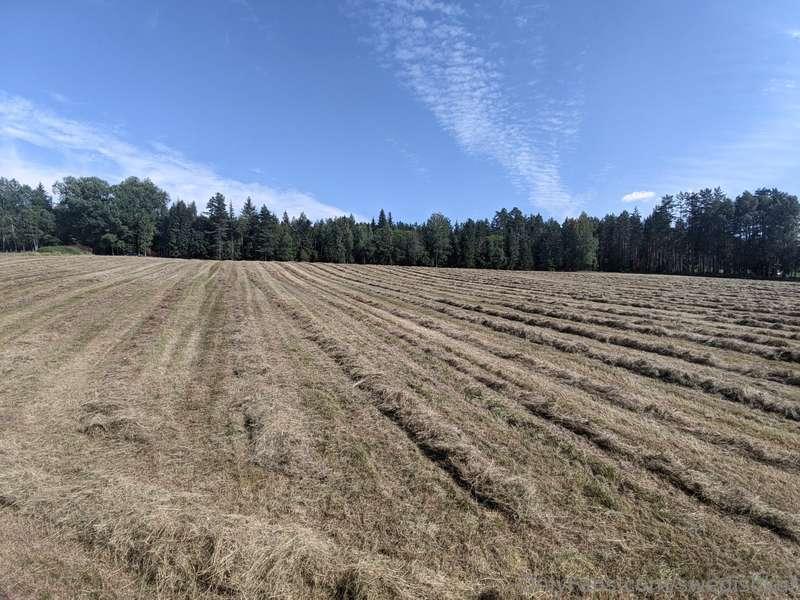 Hay day! There is no place that doesn't hurt after a day bal..