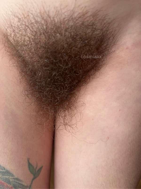 get intimate with my bush, especially the extra long bb