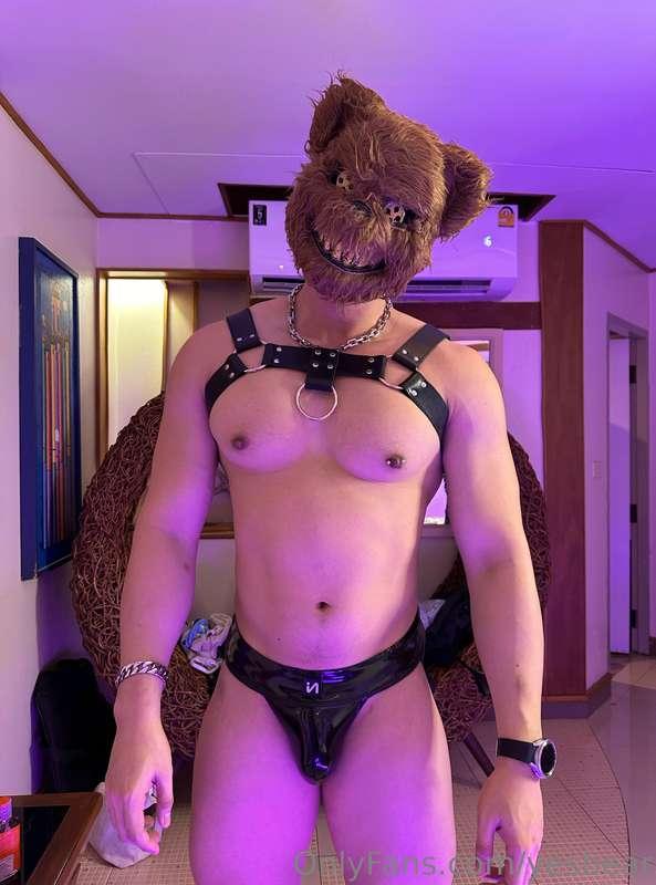Project18 "YesBear X SpookyBear" Pics 1/2 🐻❤️🐨🎃👻💦 @xmensharr..