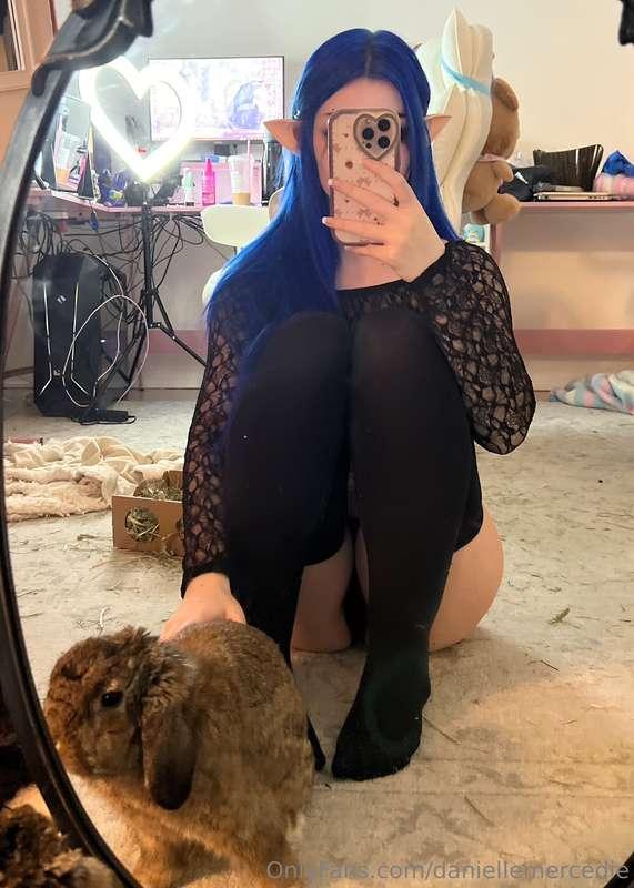 daniellemercedie image #5