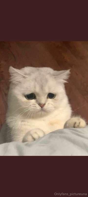 因為露出規定 呢期俾Onlyfans刪除左😢