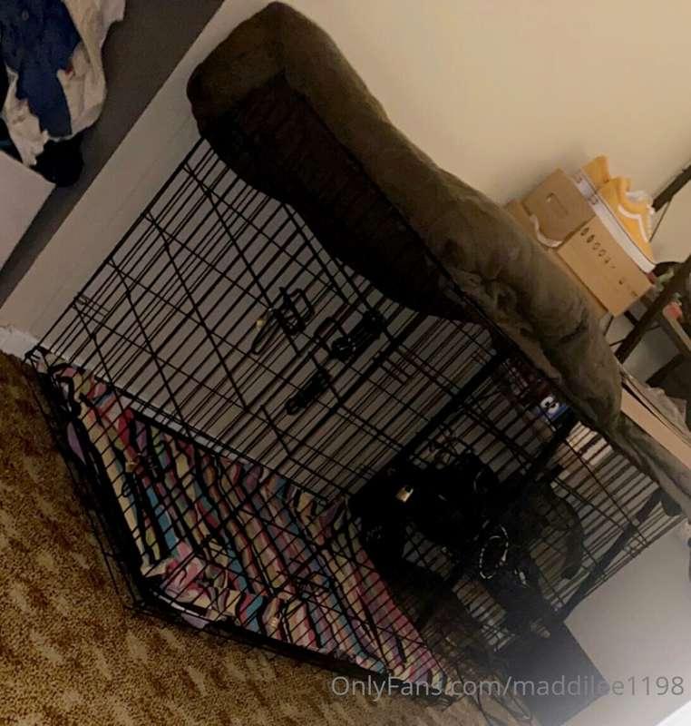 I don’t have a dog but I do have a cage 😏