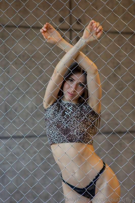 cutebutterflyy image #28