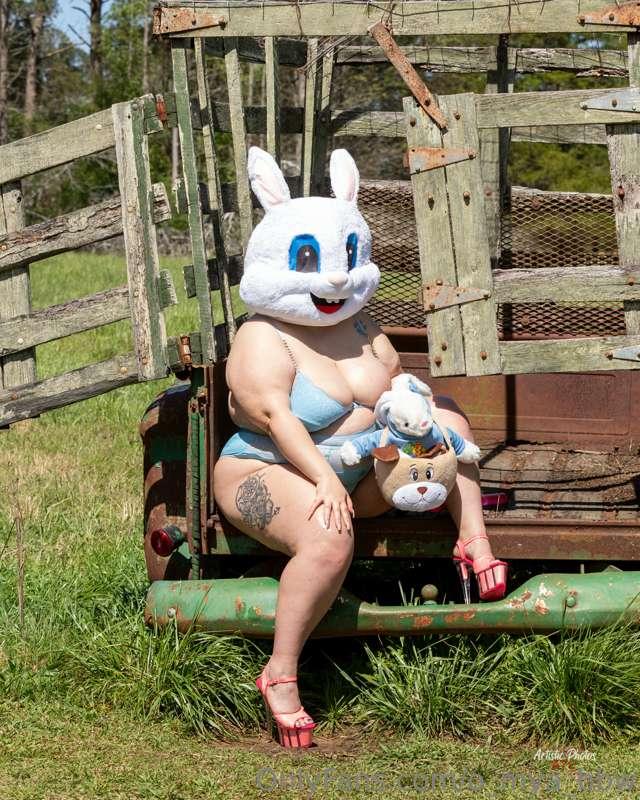 🐰🐰👅