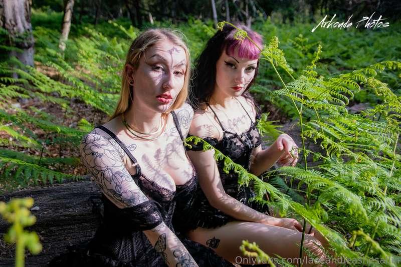 laceandleashesallin image #3