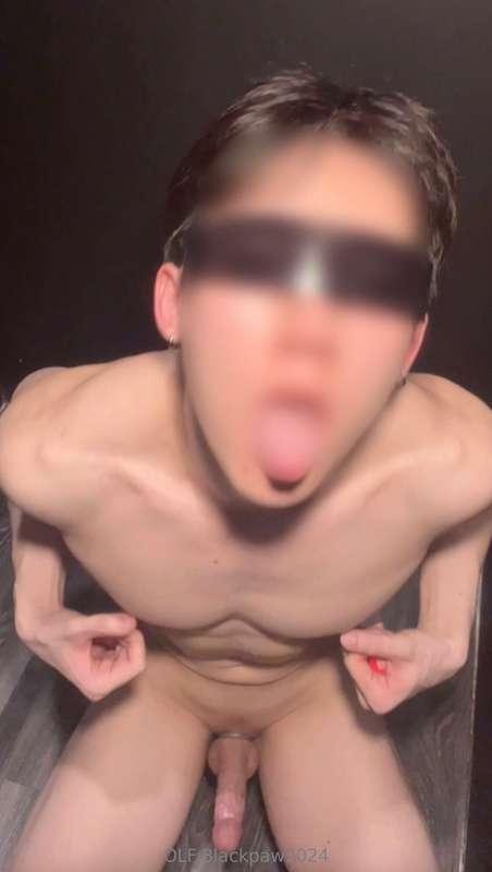 blackpaw2024 image #8