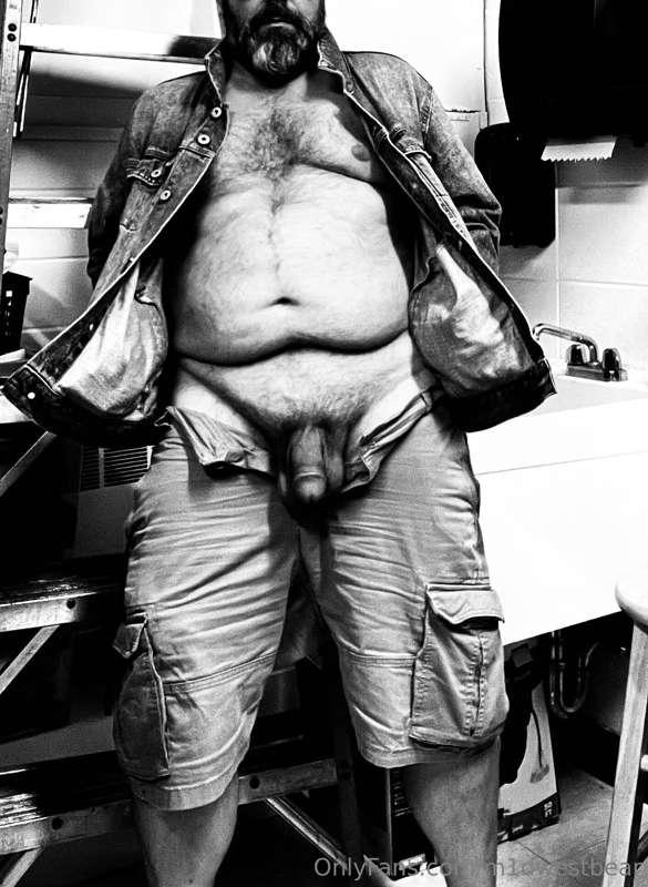 m1dwestbear image #3