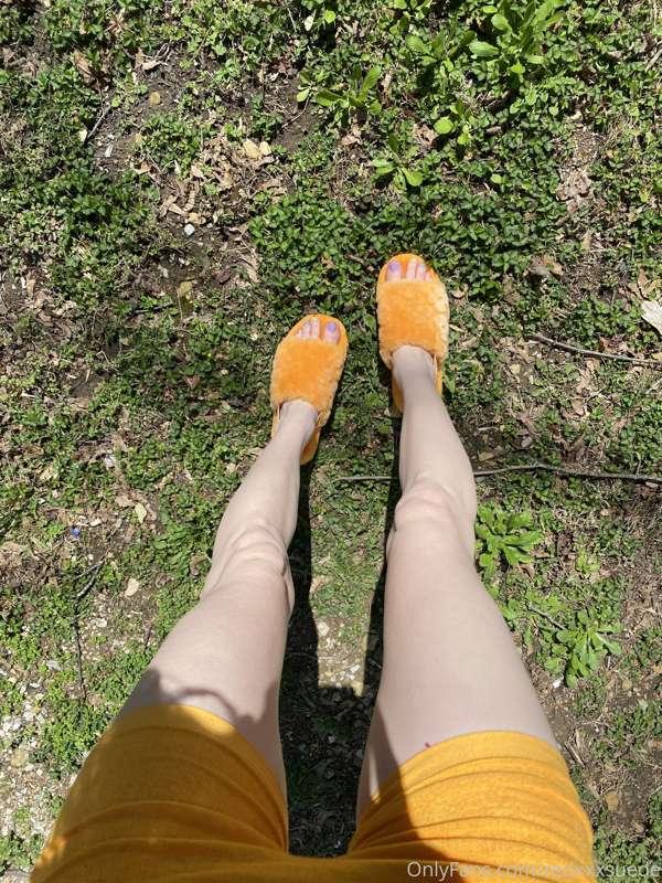 I wokeup & the grass was GREEN?! 😍🧡