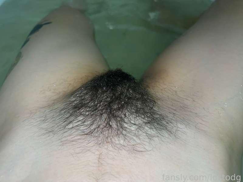 lostodg image #1
