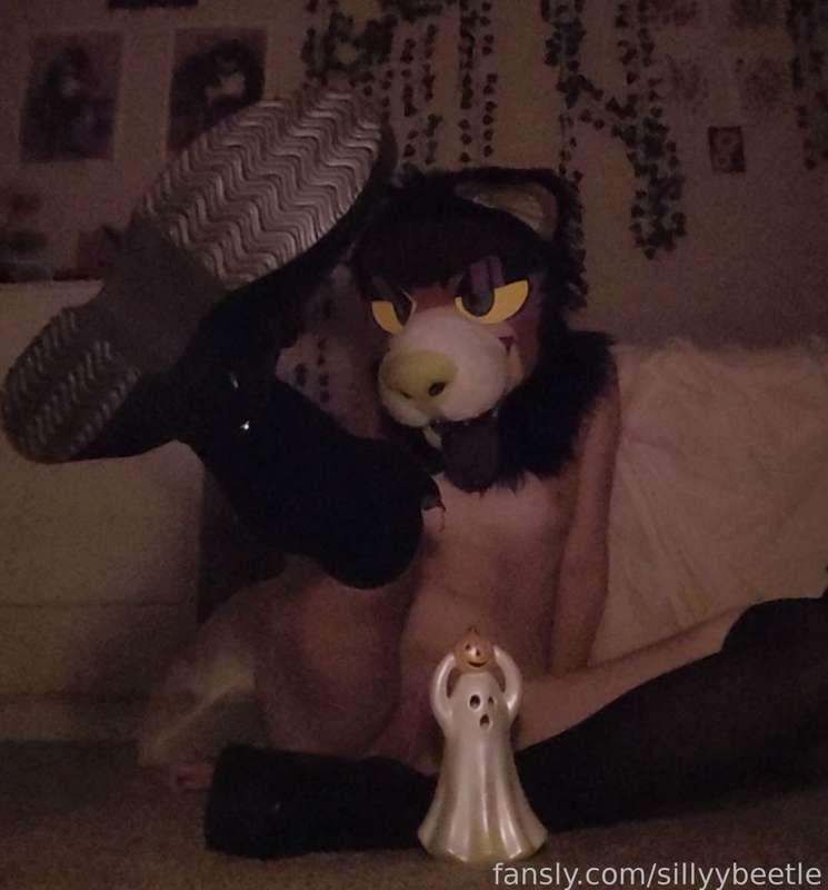 sillyybeetle image #21
