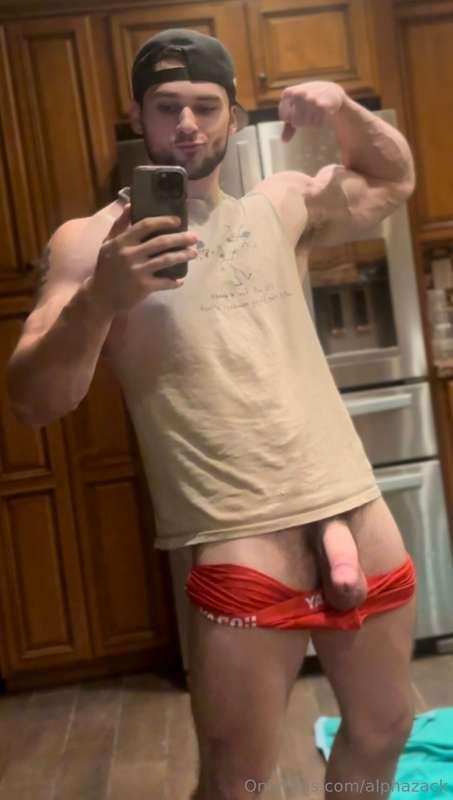 alphazack image #3