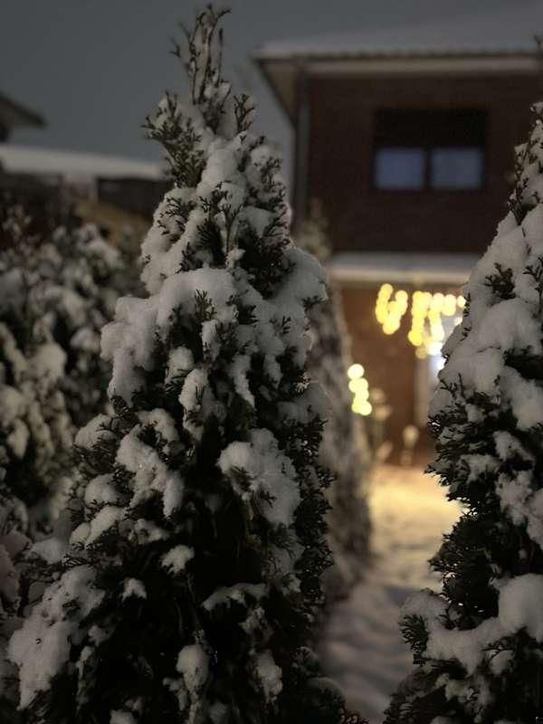 ❄️