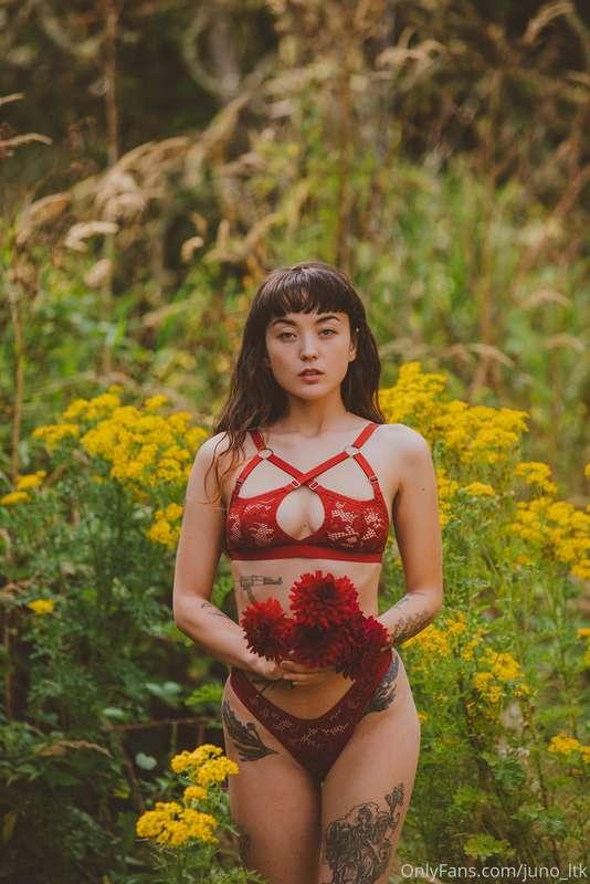 Teaser - “The Jungle” 
Photographed by Corwin Prescott