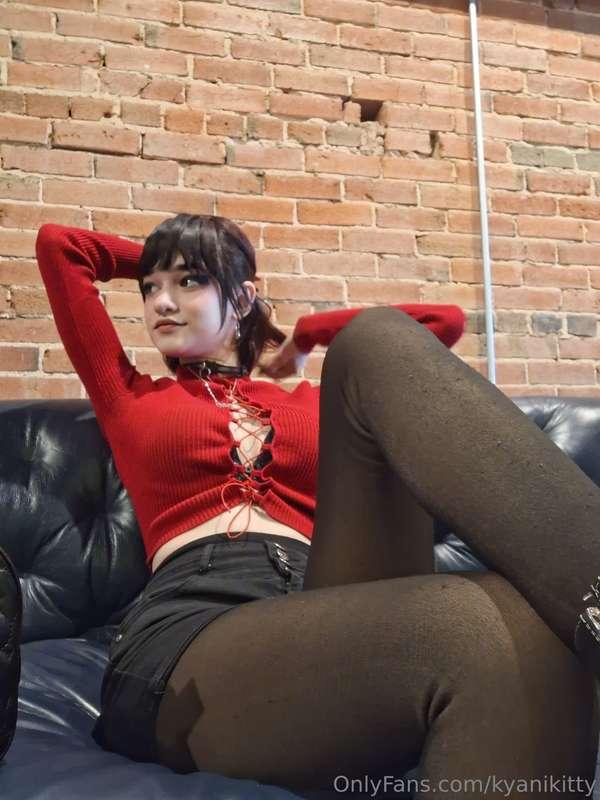 kyanikitty image #0