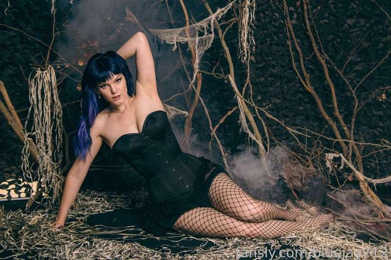 bluejay712 image #16