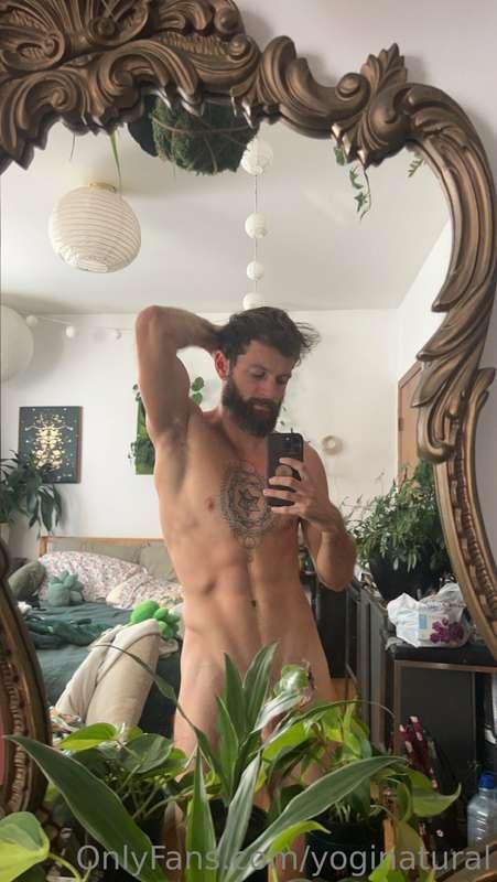 alpha_andre image #0