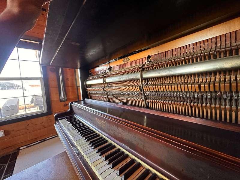 harlemhookup image #3