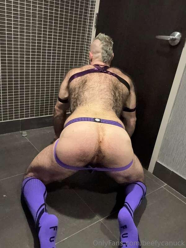 Pride Gogo outfit one.Purple disco pup.Outfits arrived in ti..