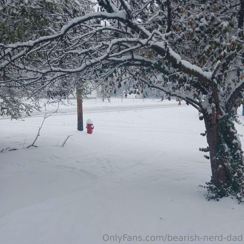 bearish-nerd-dad image #0