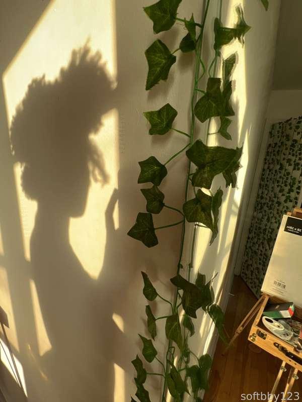Happy Friday from ur favourite shadow gf 💓 any plans for the weekend? 
( #ebony #silhouette #shadow #nude #artsy #vines )