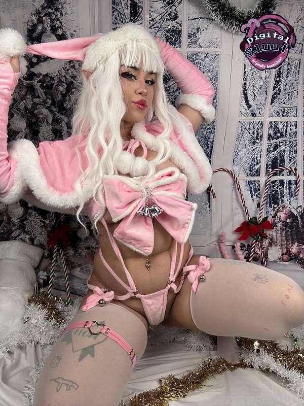 bunnisluut image #45