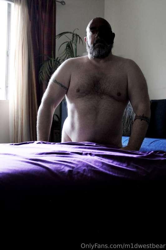 m1dwestbear image #18