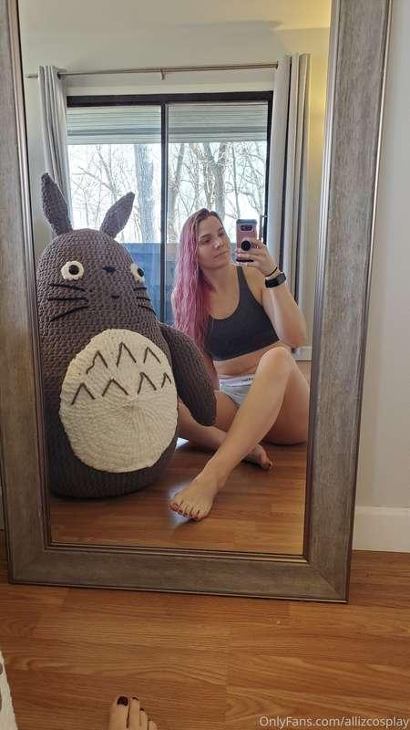 In response to the comment that there was a lack of totoro i..