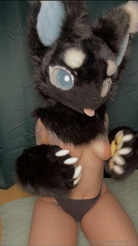 My new fursuit head didn’t arrive today so no photos with he..