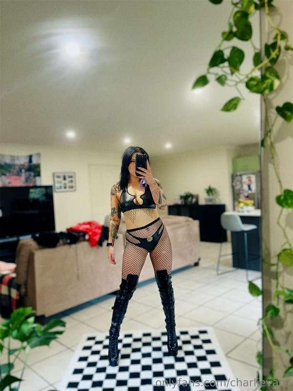 repeat after me: i will never miss a charli evans live strea..