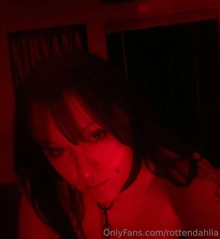rottendahlia image #0