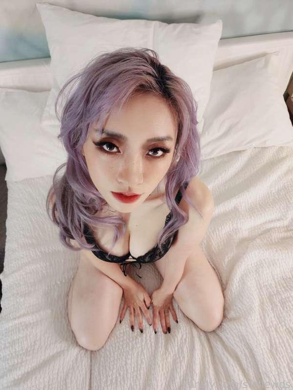 stellewds image #0