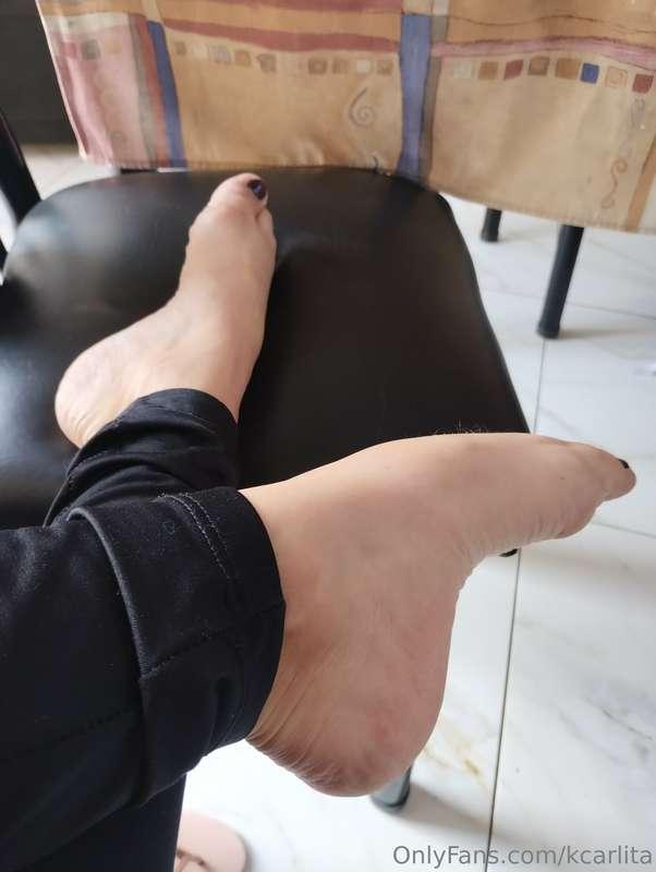 👣 Pies 👣